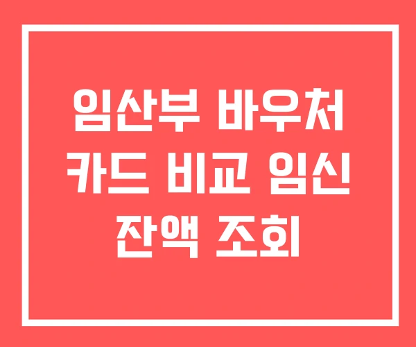임산부 바우처 카드 비교 임신 잔액 조회