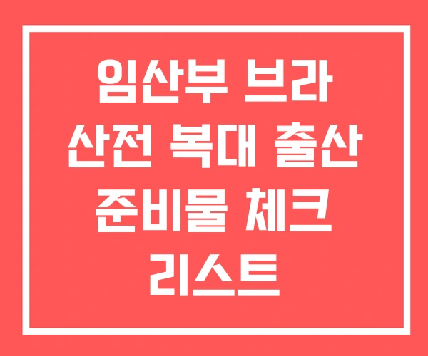임산부 브라 산전 복대 출산 준비물 체크 리스트