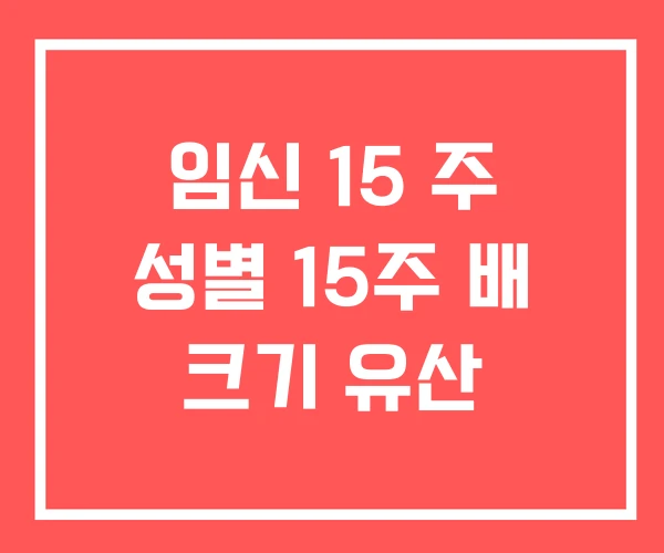 임신 15 주 성별 15주 배 크기 유산