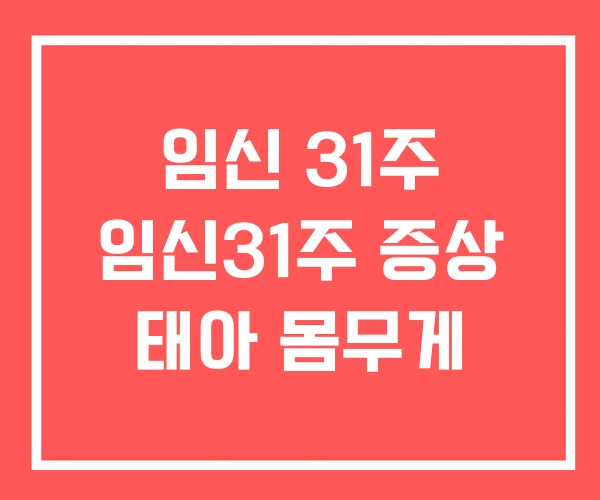 임신 31주 임신31주 증상 태아 몸무게