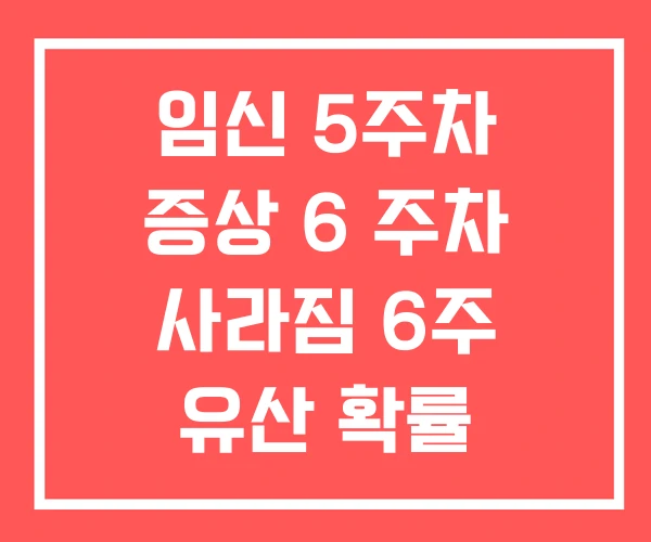 임신 5주차 증상 6 주차 사라짐 6주 유산 확률