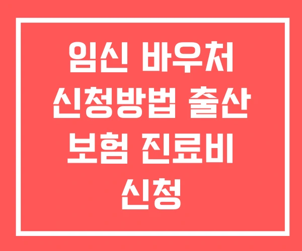 임신 바우처 신청방법 출산 보험 진료비 신청 임신 바우처 신청방법 출산 보험 진료비 신청