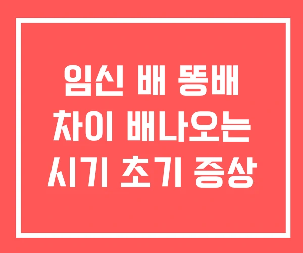 임신 배 똥배 차이 배나오는 시기 초기 증상