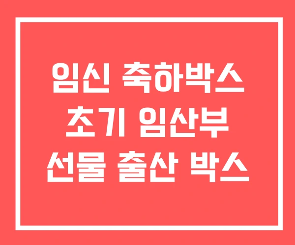 임신 축하박스 초기 임산부 선물 출산 박스 임신 축하박스 초기 임산부 선물 출산 박스