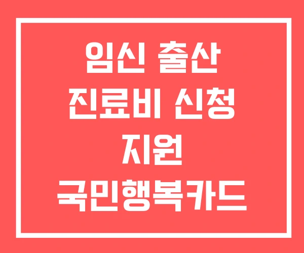 임신 출산 진료비 신청 지원 국민행복카드 임신출산 바우처