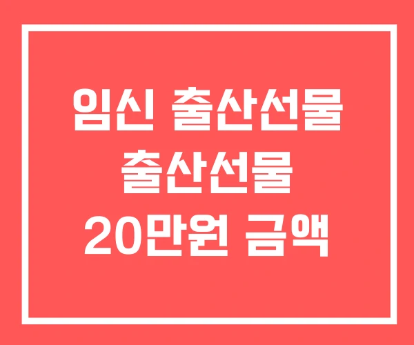 임신 출산선물 출산선물 20만원 금액 임신 출산선물 출산선물 20만원 금액