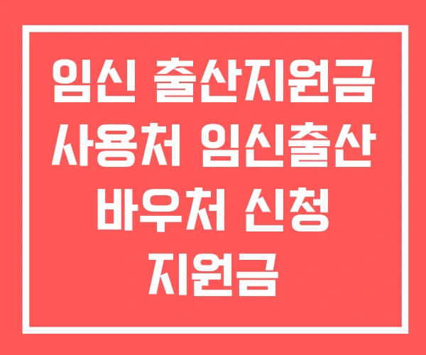 임신 출산지원금 사용처 임신출산 바우처 신청 지원금