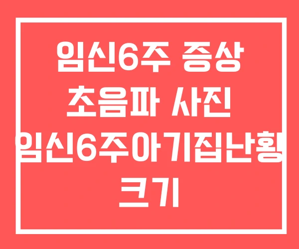 임신6주 증상 초음파 사진 임신6주아기집난황 크기