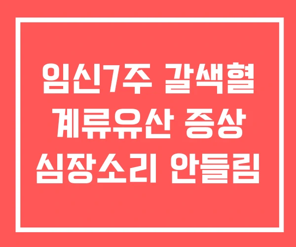 임신7주 갈색혈 계류유산 증상 심장소리 안들림