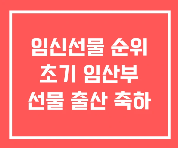 임신선물 순위 초기 임산부 선물 출산 축하 임신선물 순위 초기 임산부 선물 출산 축하