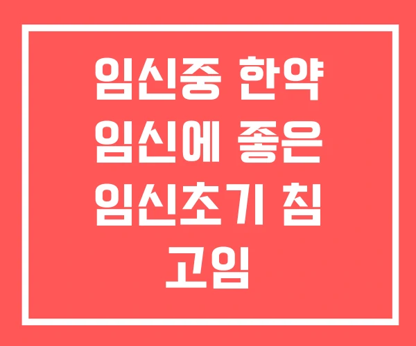 임신중 한약 임신에 좋은 임신초기 침 고임