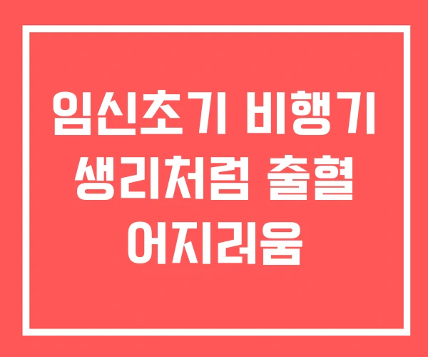 임신초기 비행기 생리처럼 출혈 어지러움