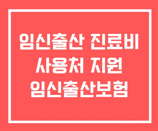 임신출산 진료비 사용처 지원 임신출산보험 임신출산 진료비 사용처 지원 임신출산보험