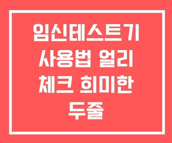 임신테스트기 사용법 얼리 체크 희미한 두줄 임신테스트기 사용법 얼리 체크 희미한 두줄