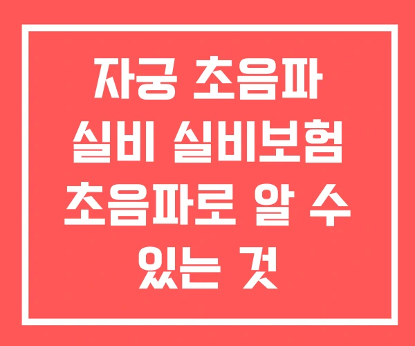 자궁 초음파 실비 실비보험 초음파로 알 수 있는 것