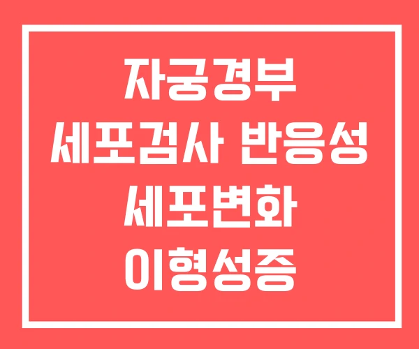 자궁경부 세포검사 반응성 세포변화 이형성증