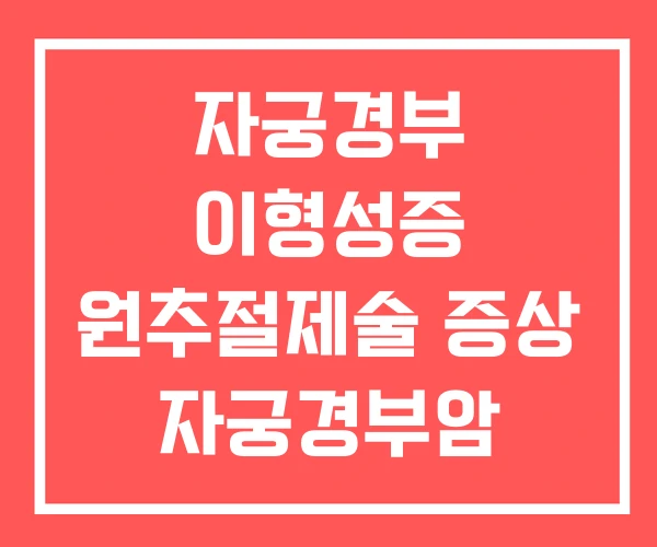 자궁경부 이형성증 원추절제술 증상 자궁경부암 자궁경부 이형성증 원추절제술 증상 자궁경부암