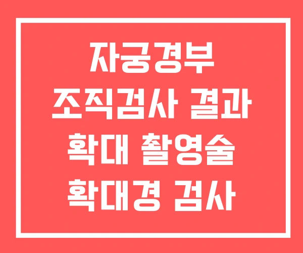 자궁경부 조직검사 결과 확대 촬영술 확대경 검사 자궁경부 조직검사 결과 확대 촬영술 확대경 검사
