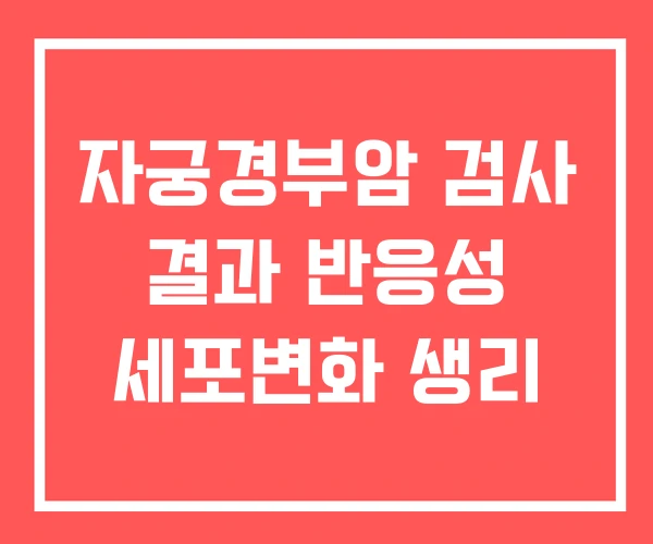 자궁경부암 검사 결과 반응성 세포변화 생리
