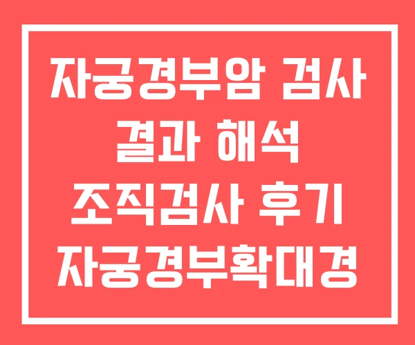 자궁경부암 검사 결과 해석 조직검사 후기 자궁경부확대경