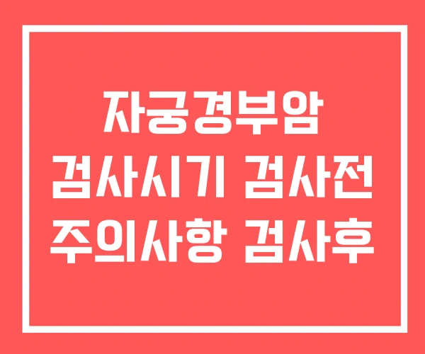 자궁경부암 검사시기 검사전 주의사항 검사후