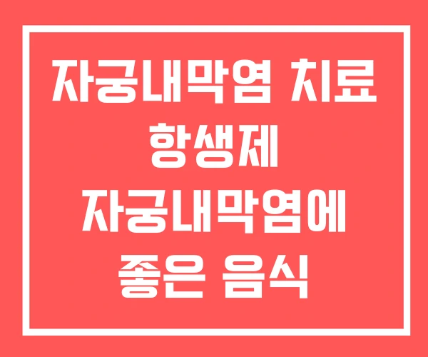 자궁내막염 치료 항생제 자궁내막염에 좋은 음식
