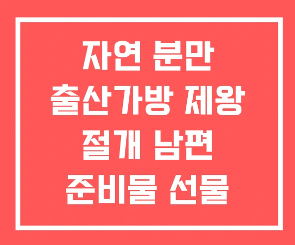 자연 분만 출산가방 제왕 절개 남편 준비물 선물