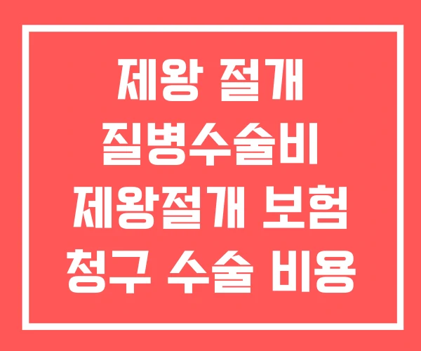 제왕 절개 질병수술비 제왕절개 보험 청구 수술 비용