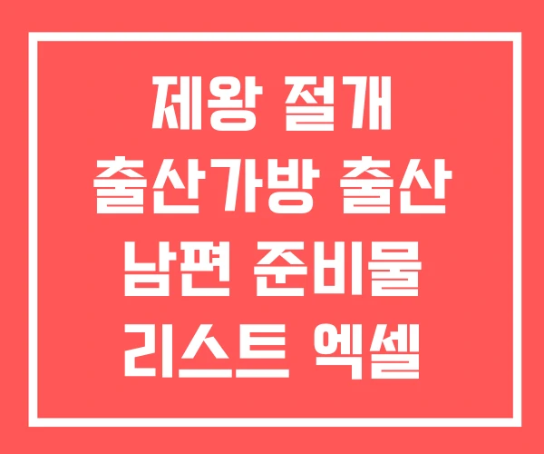 제왕 절개 출산가방 출산 남편 준비물 리스트 엑셀