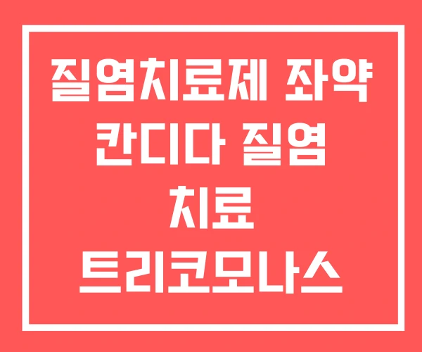 질염치료제 좌약 칸디다 질염 치료 트리코모나스 치료약