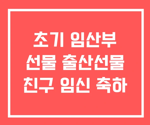 초기 임산부 선물 출산선물 친구 임신 축하