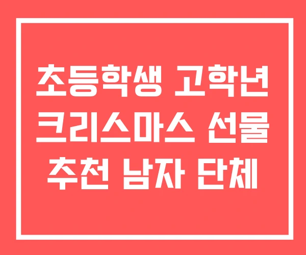 초등학생 고학년 크리스마스 선물 추천 남자 단체 초등학생 고학년 크리스마스 선물 추천 남자 단체