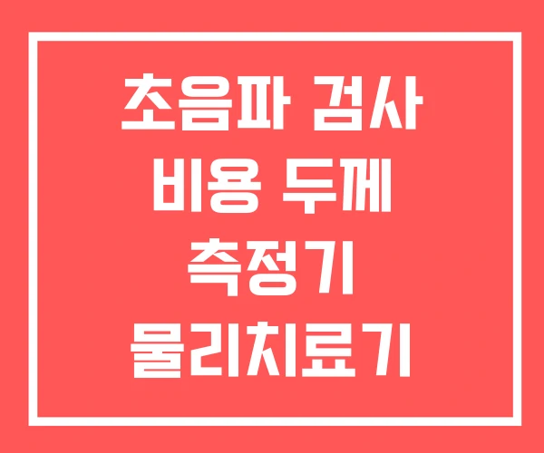 초음파 검사 비용 두께 측정기 물리치료기