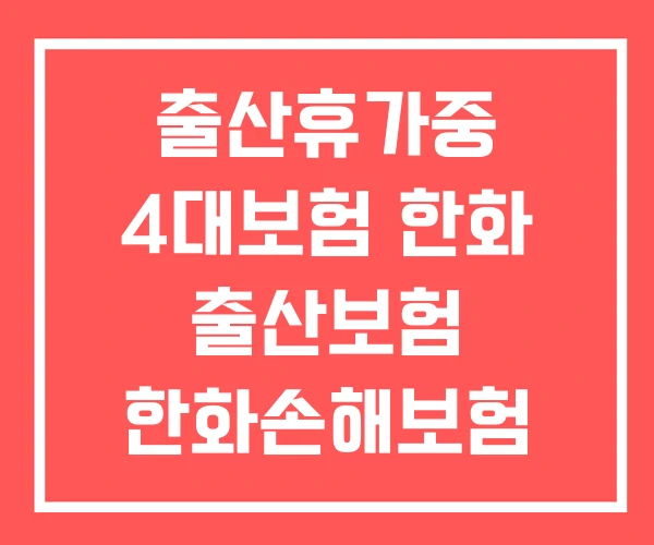출산휴가중 4대보험 한화 출산보험 한화손해보험 출산휴가중 4대보험 한화 출산보험 한화손해보험