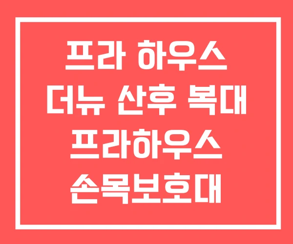 프라 하우스 더뉴 산후 복대 프라하우스 손목보호대
