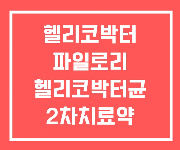 헬리코박터 파일로리 헬리코박터균 2차치료약 부작용