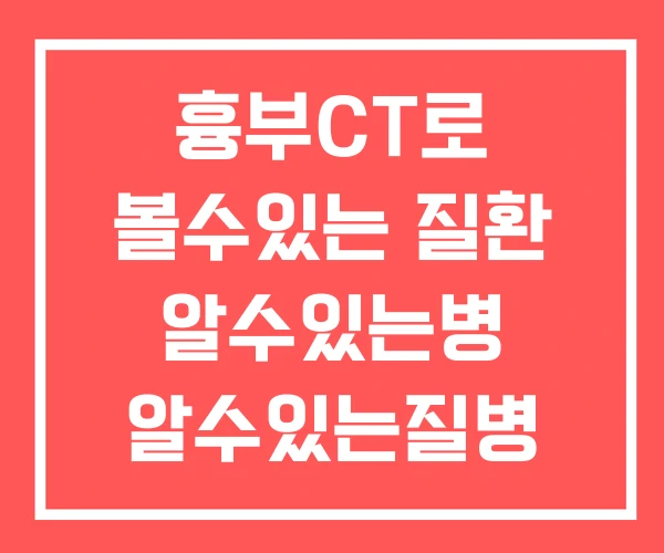 흉부CT로 볼수있는 질환 알수있는병 알수있는질병